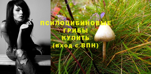 стаф Заволжье