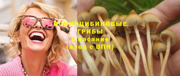 стаф Заволжье