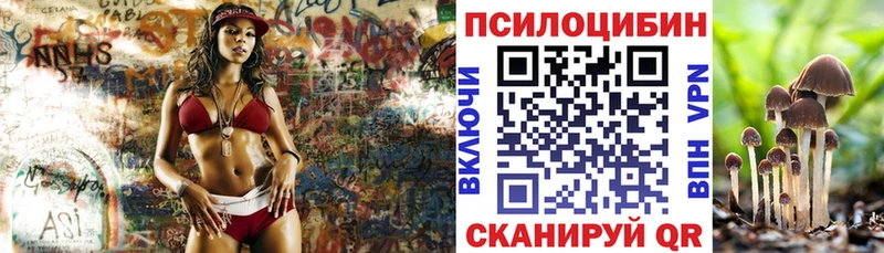 Галлюциногенные грибы GOLDEN TEACHER  Купить  Туран 